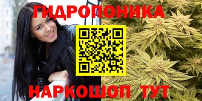 тгк Гатчина