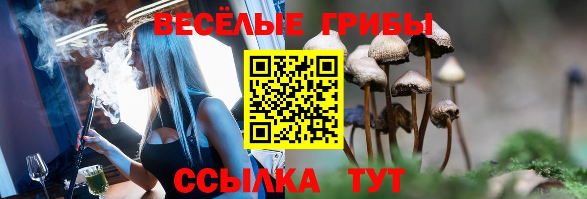 Ефремов  Галлюциногенные грибы ЛСД  Вход с VPN  Псилоцибиновые грибы MAGIC MUSHROOMS 